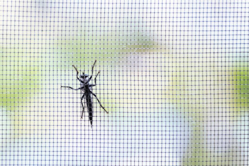 Tela de Mosquito para Janela Caiobá - Tela Mosquiteiro Janela